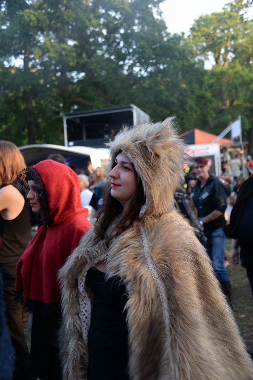 ../Images/Vrijdag Castlefest 2015 215.jpg